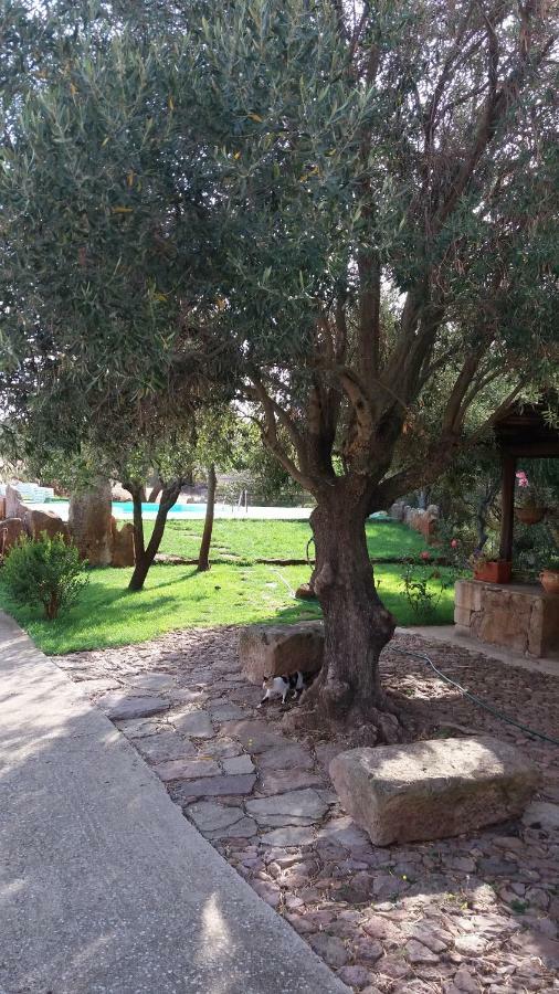 Agriturismo Sa E Padedda Mores Exteriér fotografie