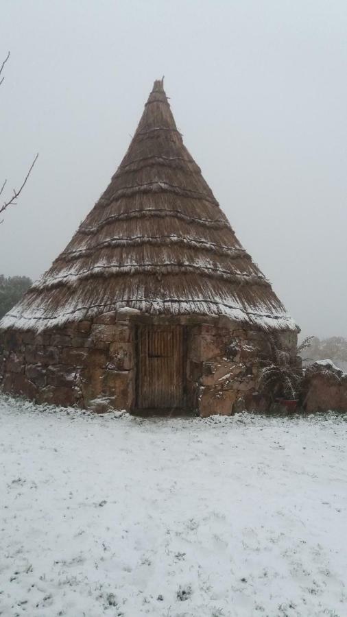 Agriturismo Sa E Padedda Mores Exteriér fotografie