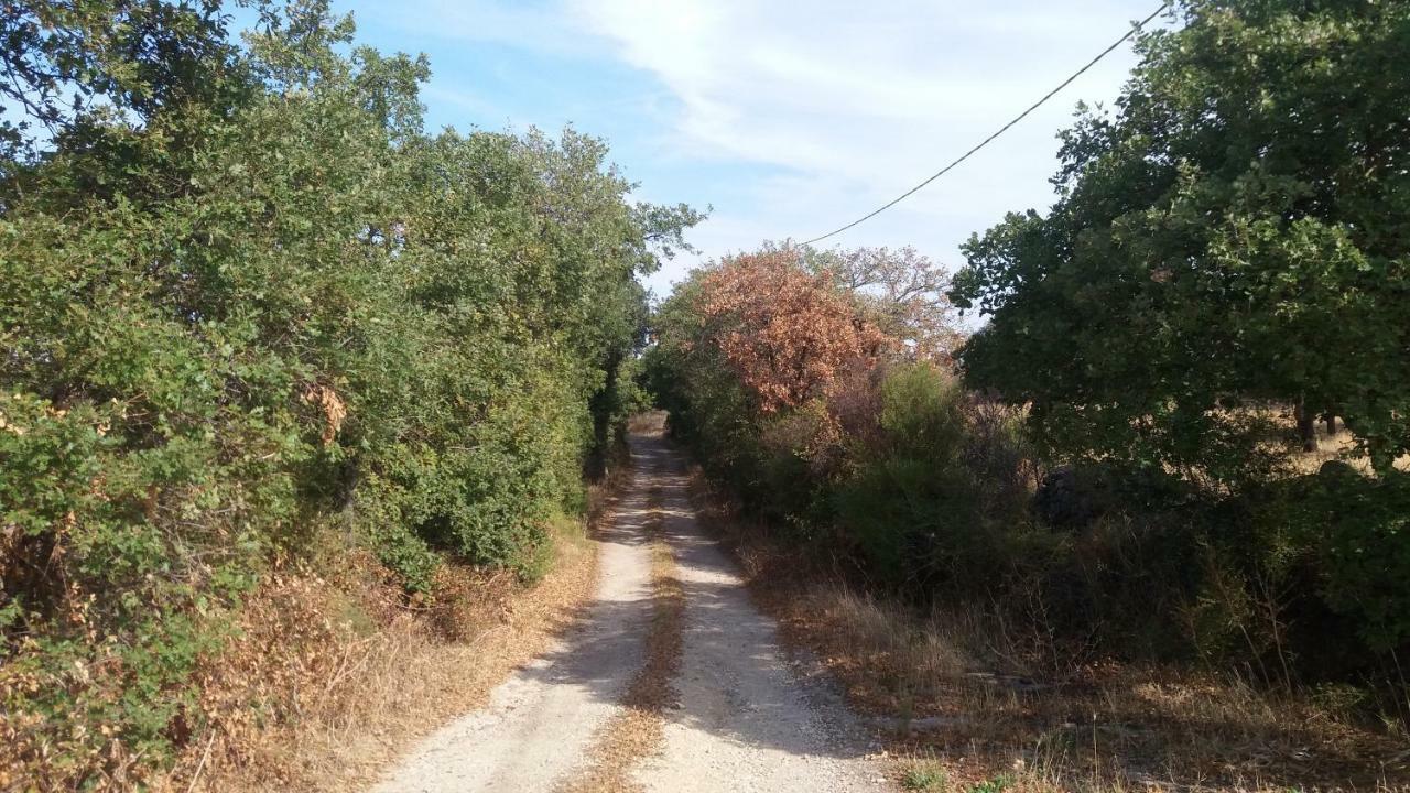 Agriturismo Sa E Padedda Mores Exteriér fotografie