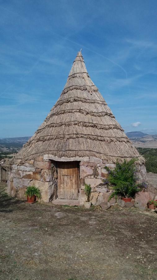 Agriturismo Sa E Padedda Mores Exteriér fotografie